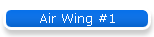 Air Wing #1