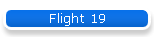 Flight 19