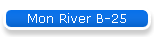 Mon River B-25