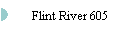 Flint River 605