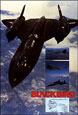 Blackbird